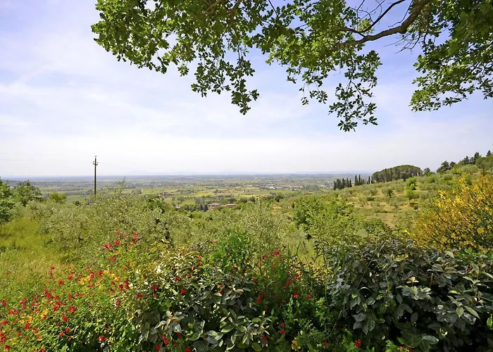 Il Palazzone Cortona